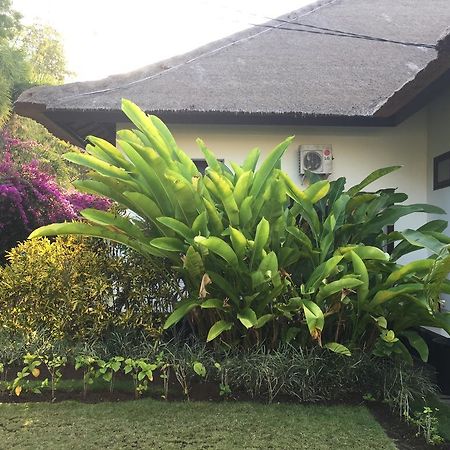 Villa Danison Umeanyar Bagian luar foto