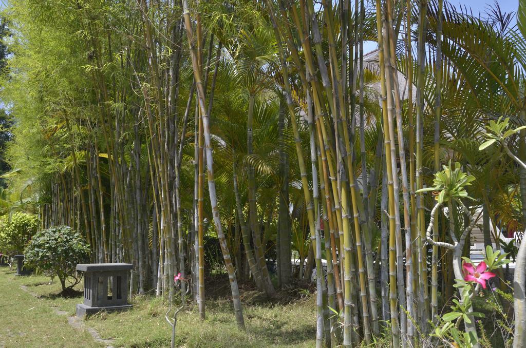 Villa Danison Umeanyar Ruang foto